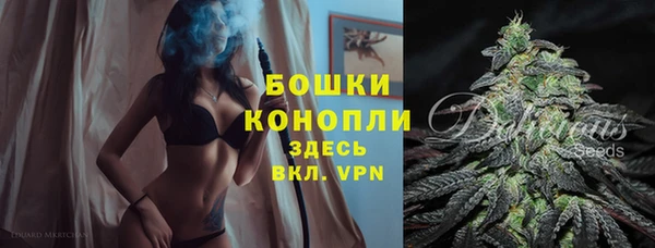 прущий лед Липки