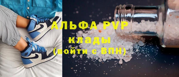 сатива Орск