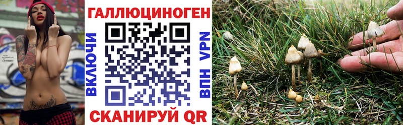 Галлюциногенные грибы Cubensis  Воронеж 